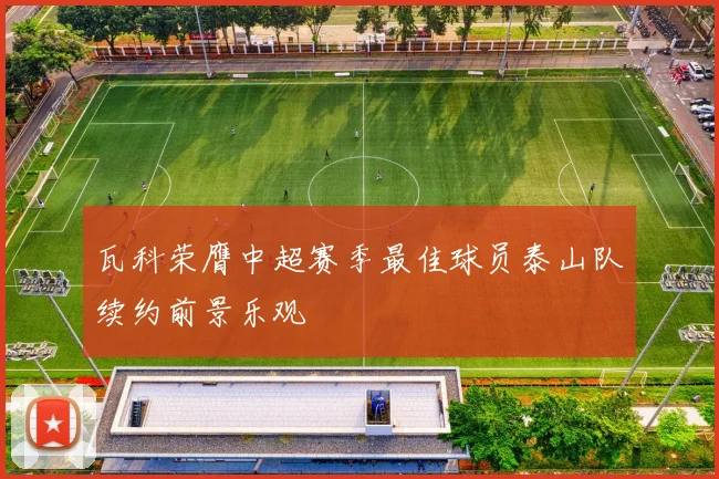 瓦科荣膺中超赛季最佳球员泰山队续约前景乐观