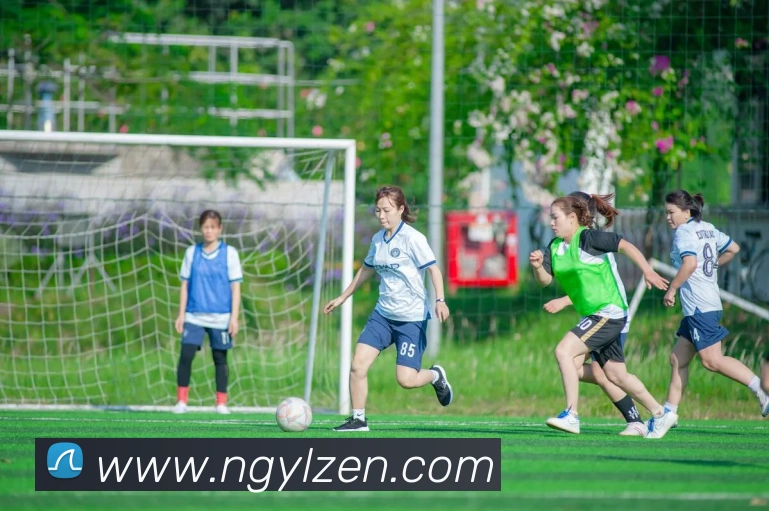 多媒体互动体验